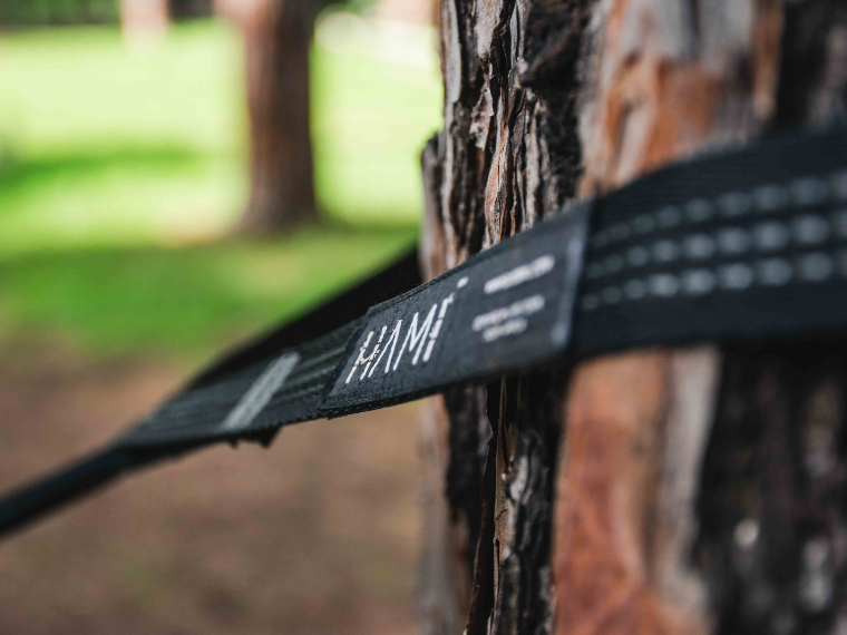 Do hammocks hurt / harm trees ? HAMIGLOBAL