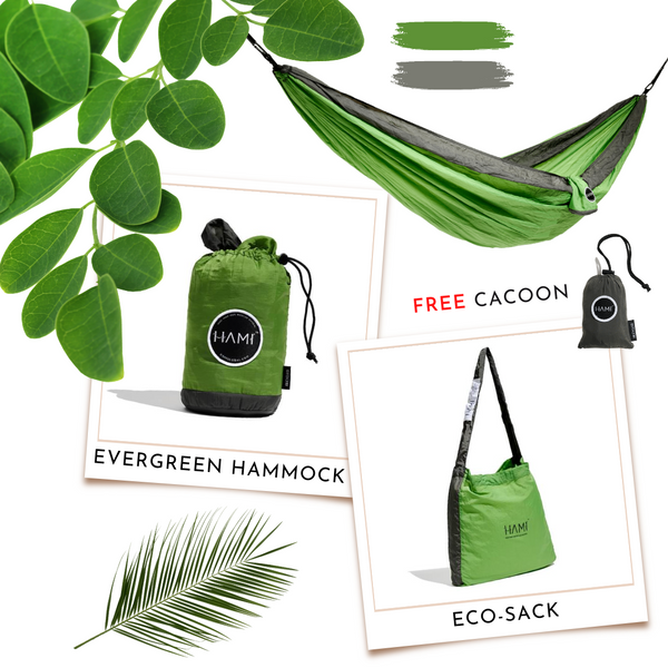 EVERGREEN BUNDLE